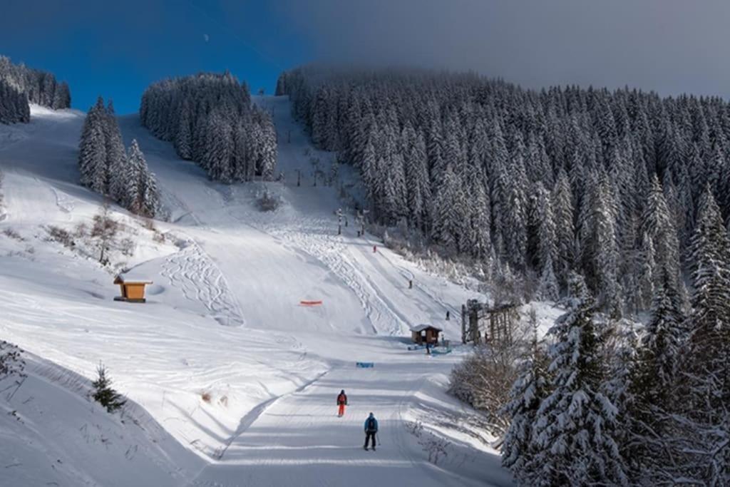 Dans Residence Neuve Le Snow Roc Sur Les Pistes, Grand Studio Cosy 5 Pers Avec Terrasse Panoramique, Sauna, Wifi Saint-Jean-dʼAulps エクステリア 写真