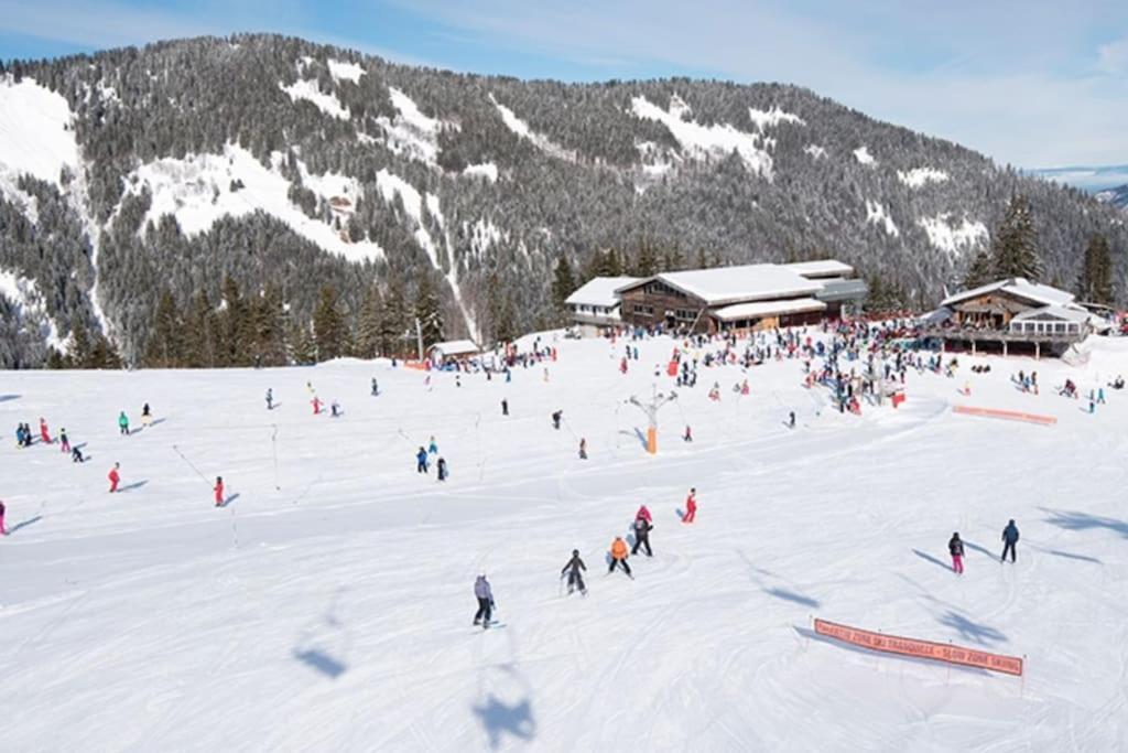 Dans Residence Neuve Le Snow Roc Sur Les Pistes, Grand Studio Cosy 5 Pers Avec Terrasse Panoramique, Sauna, Wifi Saint-Jean-dʼAulps エクステリア 写真