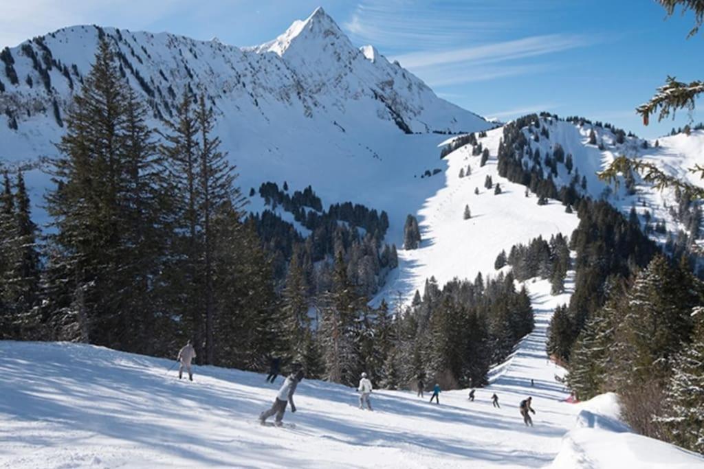 Dans Residence Neuve Le Snow Roc Sur Les Pistes, Grand Studio Cosy 5 Pers Avec Terrasse Panoramique, Sauna, Wifi Saint-Jean-dʼAulps エクステリア 写真