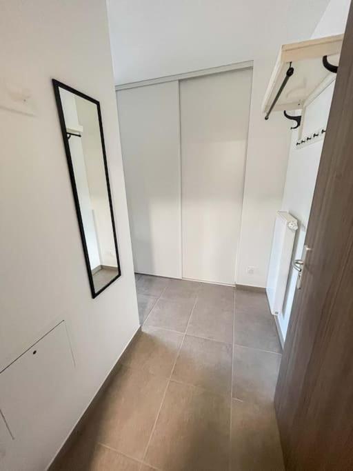Dans Residence Neuve Le Snow Roc Sur Les Pistes, Grand Studio Cosy 5 Pers Avec Terrasse Panoramique, Sauna, Wifi Saint-Jean-dʼAulps エクステリア 写真